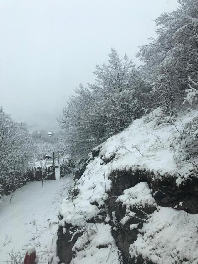 Popock Dilijan 2 Bed & Breakfast Luaran gambar